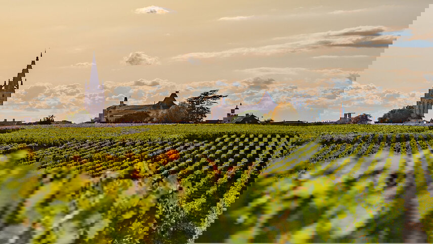 Beautiful Bordeaux with London