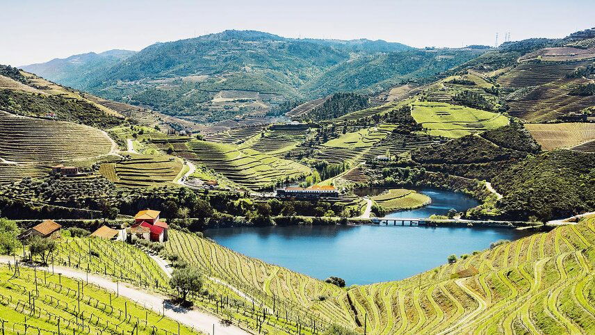 Delightful Douro with Porto