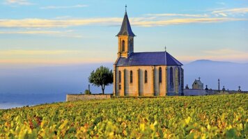 8 Day Idyllic Rhône (Scenic)