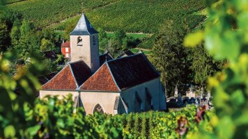 8 Day Tastes of the Rhone – A Culinary Cruise (Scenic)