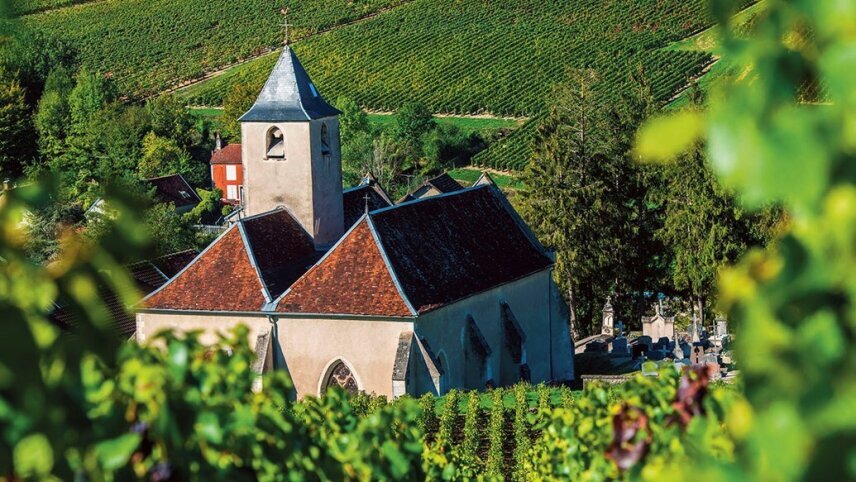 Tastes of the Rhone – A Culinary Cruise
