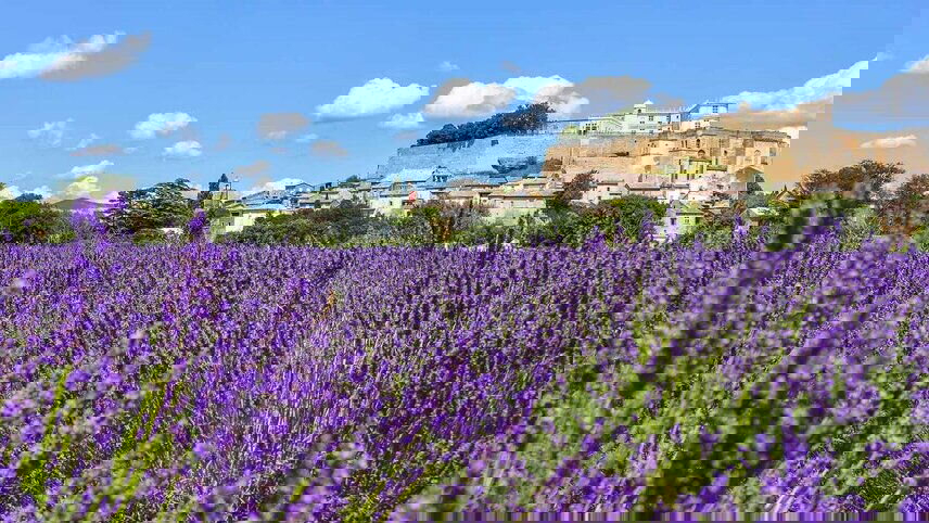 Idyllic Rhône with French Riviera