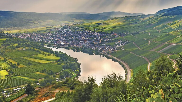 Castles & Vineyards of the Rhine & Moselle