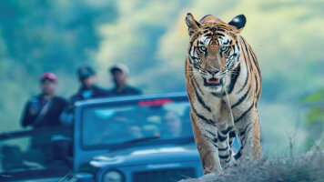 22 Day Jewels of North India & Luxury Lower Ganges River Cruise (Scenic)