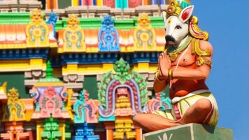 15 Day Colours of South India (Scenic)