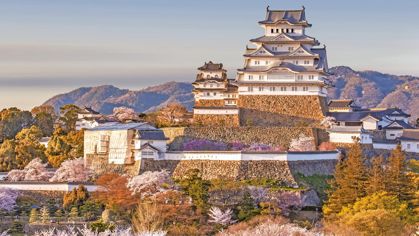 Japan in Focus