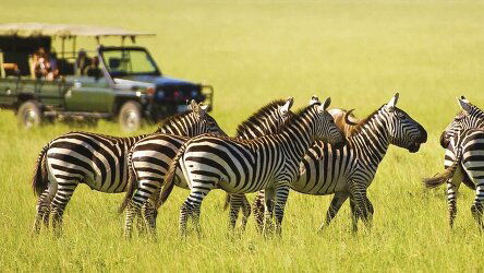 12 Day Kenyan Discovery (Scenic)