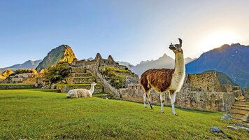 22 Day Chairman’s Voyage through Machu Picchu & the Chilean Fjords - Cruise & Land Journey (Scenic)