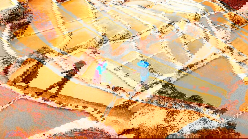 Southern Expedition: Antarctica, & Machu Picchu