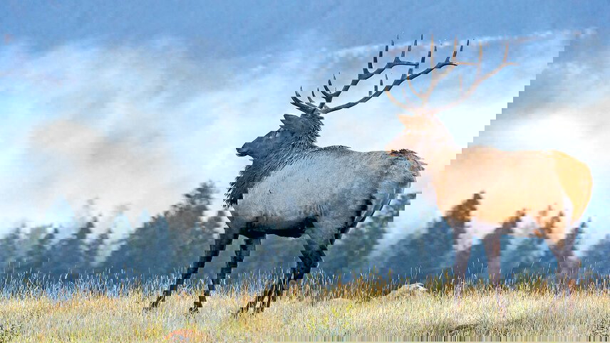 Majestic Rockies & Alaskan Cruise