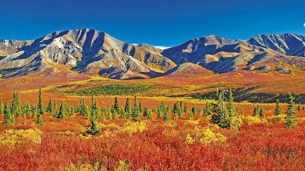 13 Day Alaska including the Arctic Circle (Scenic)