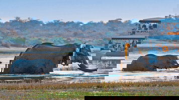 23 Day Grand African Safari (Scenic)