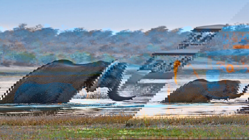 Grand African Safari