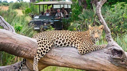 12 Day South Africa Discovery (Scenic)