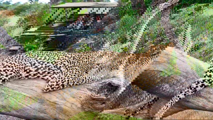 South Africa Discovery