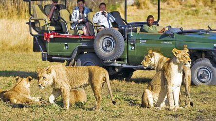 11 or 12 Day Southern Africa Discovery (Scenic)