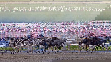 15 Day South Africa & Victoria Falls (Scenic)