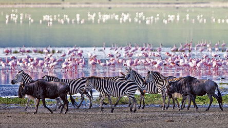 15 Day South Africa & Victoria Falls (Scenic)