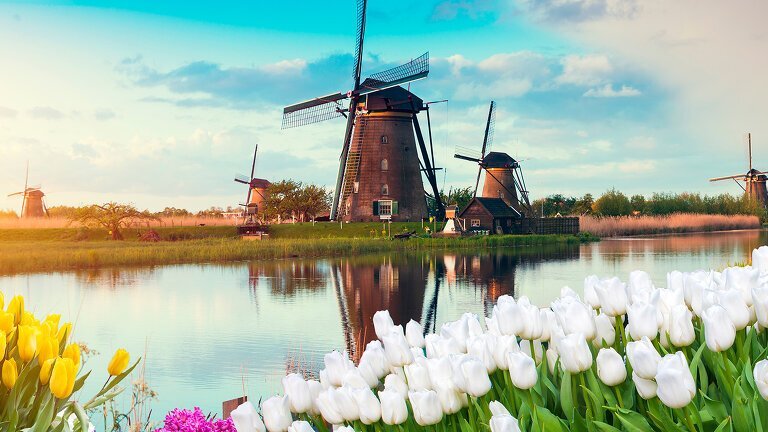 Windmills, Tulips & Belgian Delights with Bruges