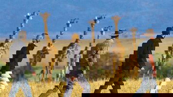 18 Day Victoria Falls & Kenyan Discovery (Scenic)