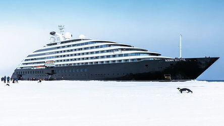 New Year, New Adventures