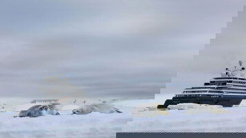 29 Day Ultimate Antarctica & the Fjords of Southern Chile (Scenic)