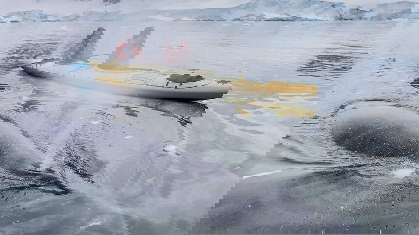 Antarctica, South Georgia & Falkland Islands