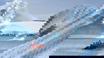 20 Day Antarctica, South Georgia & Falkland Islands (Scenic)