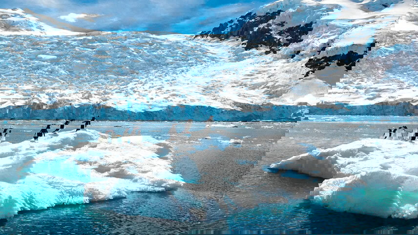 Chilean Fjords, Antarctica & South Atlantic Explorer