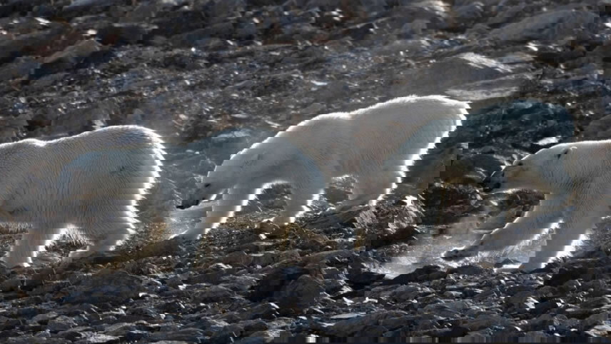 Northwest Passage Experience