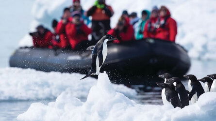 13 Day Puerto Williams to Puerto Williams (Silversea)