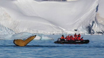 14 Day Puerto Williams to King George Island (Silversea)