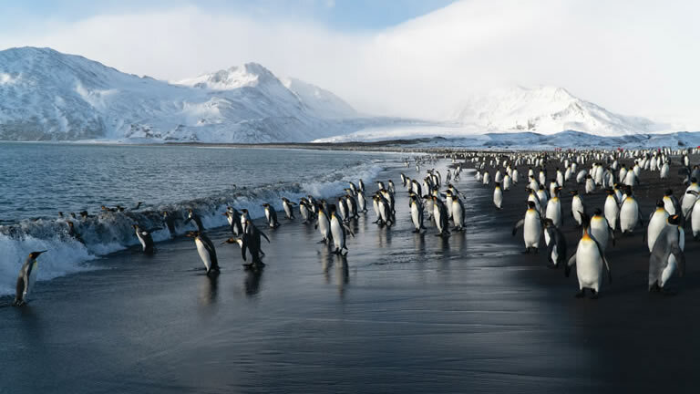 Puerto Williams to King George Island