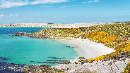 19 Day Puerto Williams to Puerto Williams (Silversea)