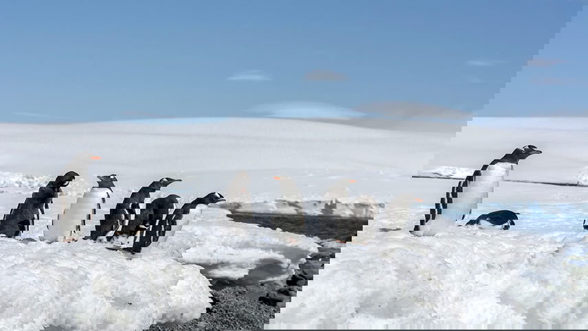 South Shetland Islands