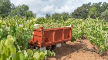 14 Day France & Spain Featuring the Autumn Grape Harvest (Silversea)