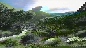 Cradle Mountain Walks