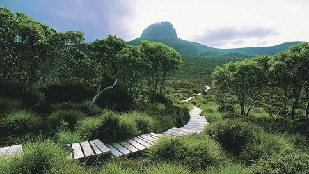Cradle Mountain Walks