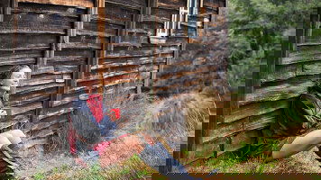 Your Walking Tour Guides