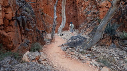 Your Walking Tour Guides