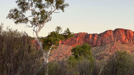 Larapinta Walk