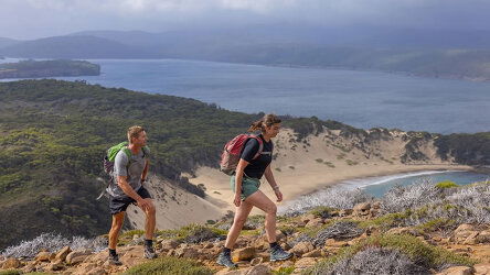 Walk trails with dramatic coastal and alpine scenery