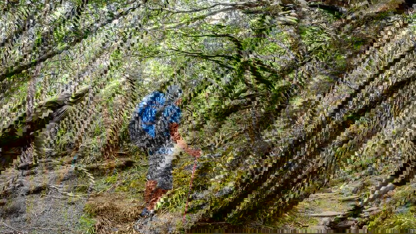 Cradle Mountain (Signature Walk)