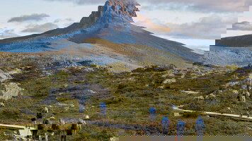 7 Day Cradle Mountain (Signature Walk) (Tasmanian Walking Company)