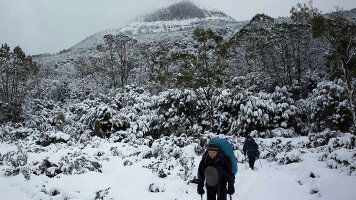 8 Day Cradle Mountain (Expedition Walk) (Tasmanian Walking Company)