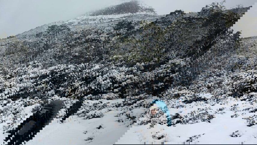 Cradle Mountain (Expedition Walk)
