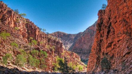 6 Day Larapinta (Signature Walk) (Tasmanian Walking Company)