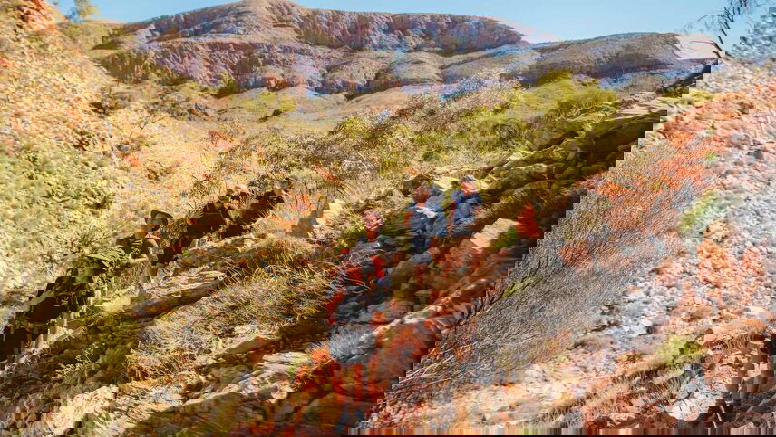 Larapinta (Signature Walk)