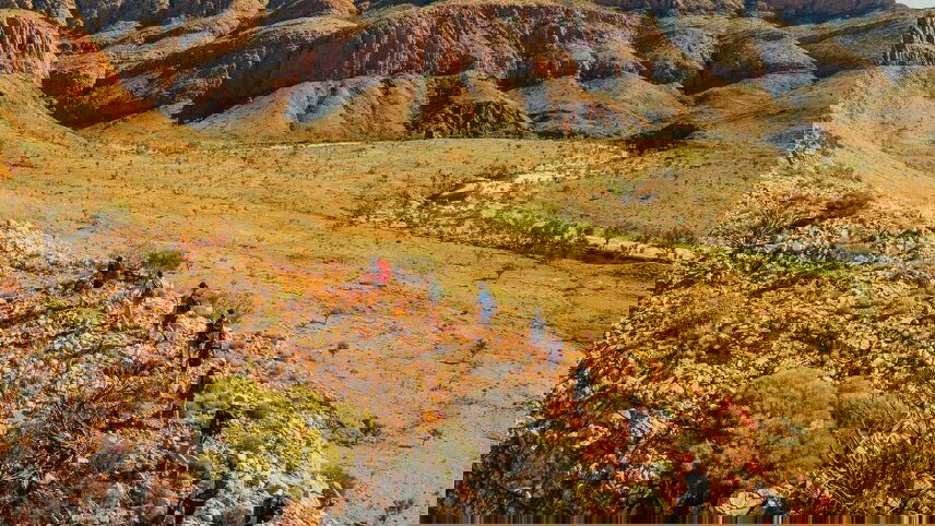 Larapinta (Signature Walk)