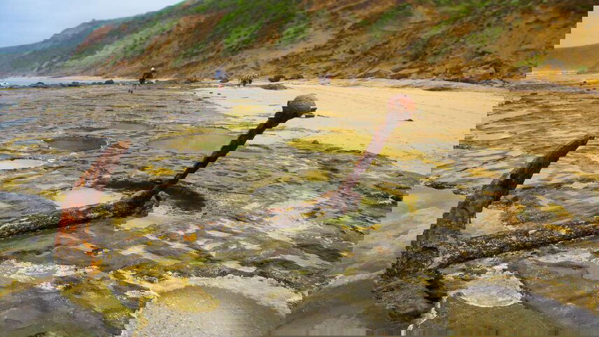 Great Ocean Road (Long Weekend)